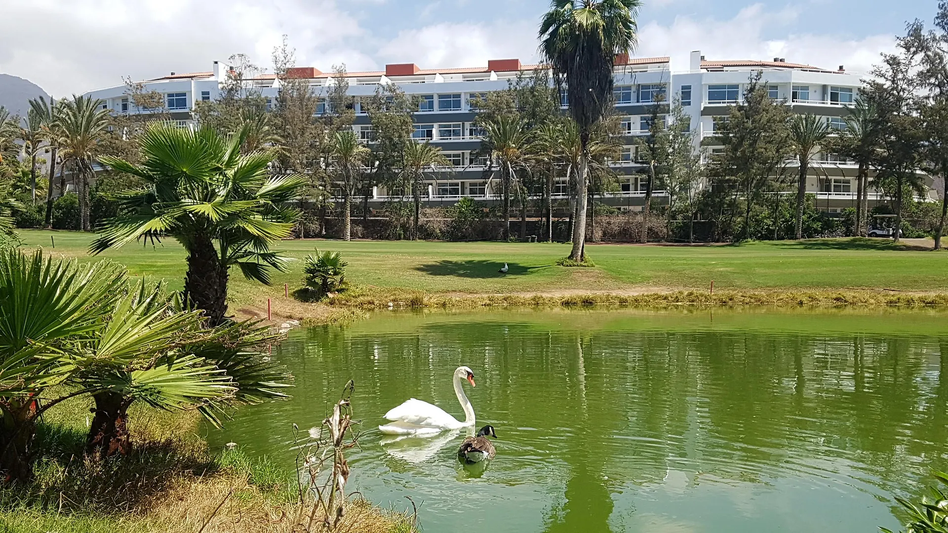 Gara Suites Golf & Spa Playa de las Americas  Hotel
